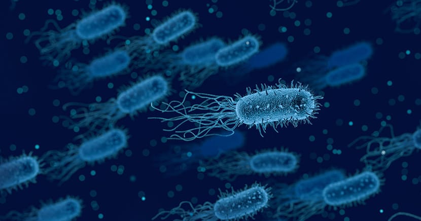 Erweiterung der Mikrobiom Diagnostik